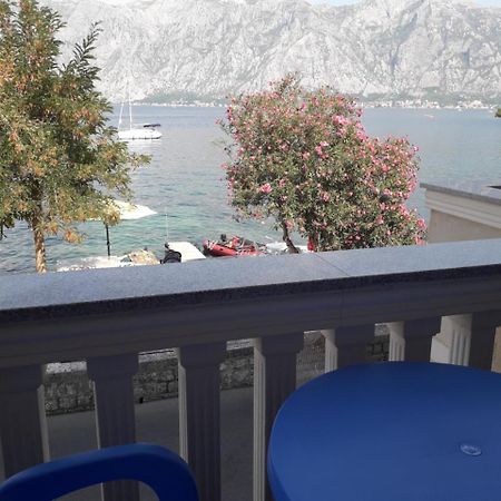 Apartament Apartmants Alexander Kotor Zewnętrze zdjęcie